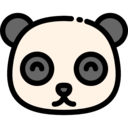 animals,mammal,wildlife,animal kingdom,zoo,bear,panda,panda bear