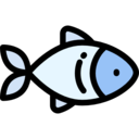 food,animals,healthy food,organic,diet,fish,sea life,animal,fish food