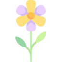 miscellaneous,nature,botanical,spring,flower,blossom,petals