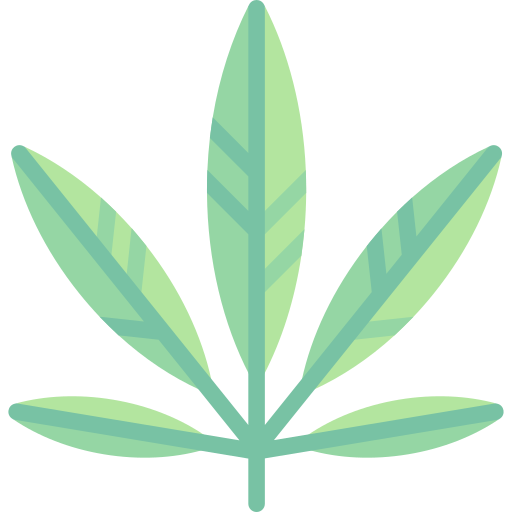 Cannabis