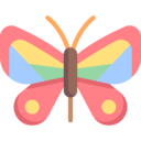 animals,miscellaneous,wild life,insect,zoology,bugs,entomology,butterfly,butterflies