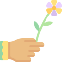 care,protection,miscellaneous,nature,hand,hands,flower,giving,compassion
