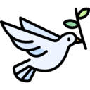 animals,miscellaneous,peace,bird,animal,pigeon,dove,fly,wings