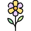 miscellaneous,nature,botanical,spring,flower,blossom,petals