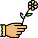 care,protection,miscellaneous,nature,hand,hands,flower,giving,compassion