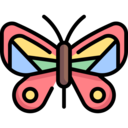 animals,miscellaneous,wild life,insect,zoology,bugs,entomology,butterfly,butterflies