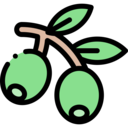 food,food and restaurant,branch,tree,gardening,garden,olive