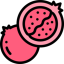 food,vegan,healthy food,food and restaurant,organic,diet,vegetarian,fruit,pomegranate