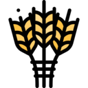 food,food and restaurant,rice,farming and gardening,cereal,wheat,grain,barley