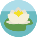 yoga,meditation,sports,nature,oriental,lotus,chakra,hinduism