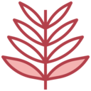 cultures,religion,christian,catholic,orthodox,protestant,palm