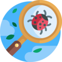 bug,magnifying glass,nature,search,loupe,ladybug,Ladybird