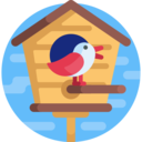 animals,house,nature,pet shop,bird,birdhouse,ornithology