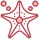 animals,aquarium,sea life,animal,aquatic,starfish