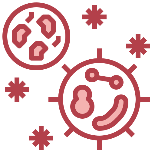 Bacteria