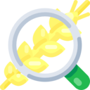 food,food and restaurant,magnifying glass,nature,branch,gastronomy,nutrition,leaves,wheat,barley ok 