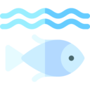 animals,fish,sea life,animal,fishing,sea,river,undersea