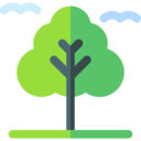 ecology and environment,landscape,nature,tree,forest,environment,wood