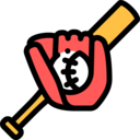 sports and competition,entertainment,game,equipment,ball,bat,sports ball,team sports,glove,baseball,softball,baseball ball,baseball glove