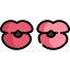 Happiness icon 64x64