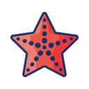 animals,aquarium,sea life,animal,aquatic,starfish ok 