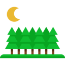 nature,trees,botanical,garden,yard,forest,pine