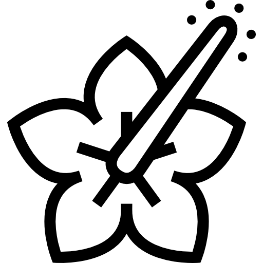Hibicus