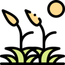 nature,leaves,green,grass,bush