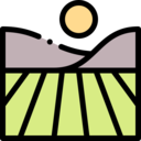 sun,nature,field,farming and gardening,agriculture,fields