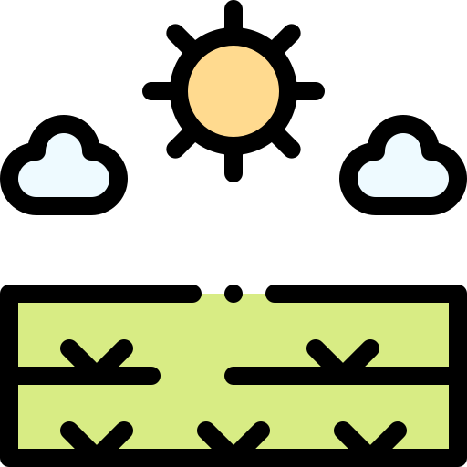 Meadow