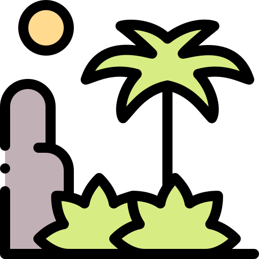 Rainforest
