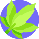 healthcare and medical,miscellaneous,nature,botanical,drug,Weed,Cannabis,Marijuana