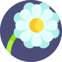 miscellaneous,nature,botanical,flower,blossom,petals ok 