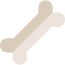 hospital,medical,healthcare and medical,doctor,bone,body part,leg,skeleton