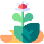 Favicon