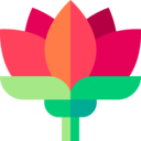 nature,flower,blossom,petals,botanic