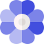 Flowers icon 64x64