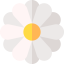 Flowers icon 64x64