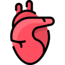 medical,virus,healthcare and medical,healthcare,heart,organ,anatomy,coronavirus,bacteria