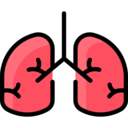 medical,virus,healthcare and medical,healthcare,organ,anatomy,coronavirus,bacteria,lungs,lung