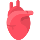 medical,virus,healthcare and medical,healthcare,heart,organ,anatomy,coronavirus,bacteria