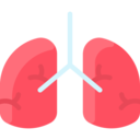medical,virus,healthcare and medical,healthcare,organ,anatomy,coronavirus,bacteria,lungs,lung