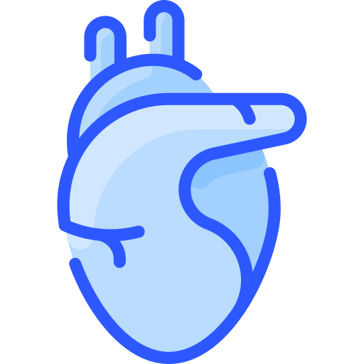 Heart