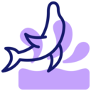 animals,sea life,animal,sea,dolphin