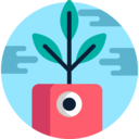 electronics,nature,pot,plant,sprout,spring,growth,bud,Grow up ok 
