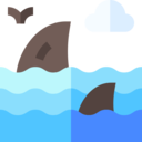 animals,sea life,ocean,sea,shark,fin