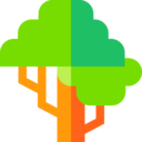 ecology,nature,botanical,tree,gardening,garden,yard,botanic