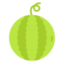 vegan,healthy food,food and restaurant,organic,diet,vegetarian,fruit,watermelon ok 