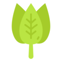 food,vegetable,vegan,healthy food,food and restaurant,diet,spinach