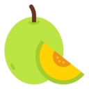 food,vegan,healthy food,food and restaurant,organic,diet,vegetarian,fruit,melon